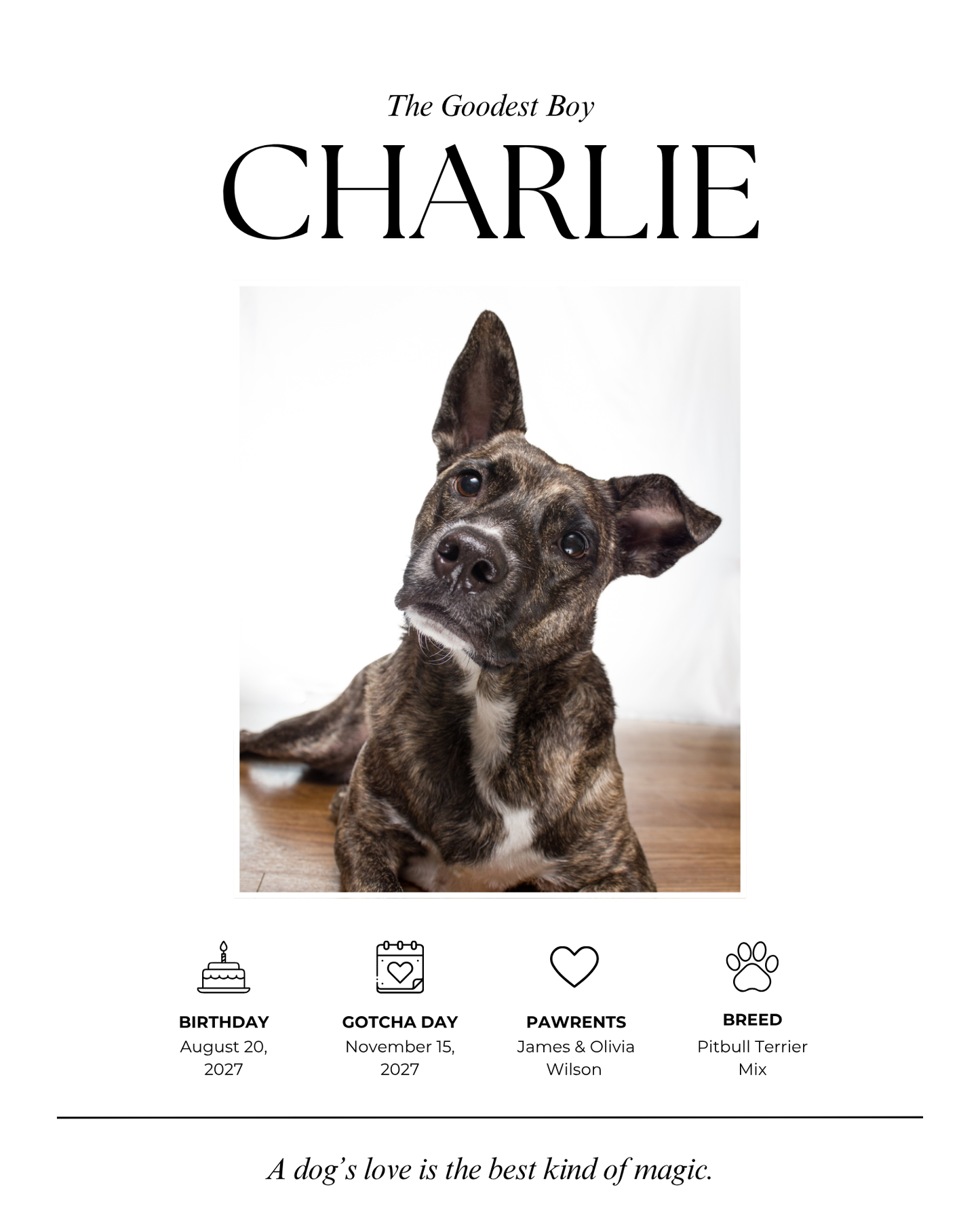 Copy of Stylish Matte Vertical Posters for Home Decor, Minimalist Wall Art, Office Prints, Modern Decoration Ideas